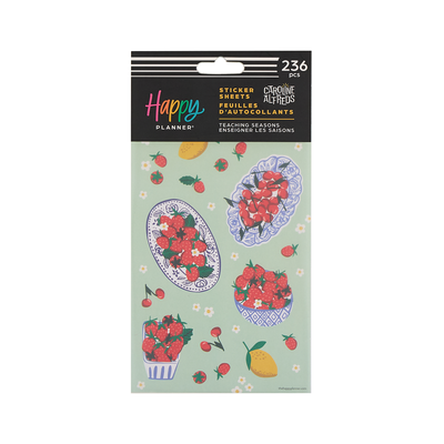 Teaching Seasons - 10 Sheet Sticker Pack